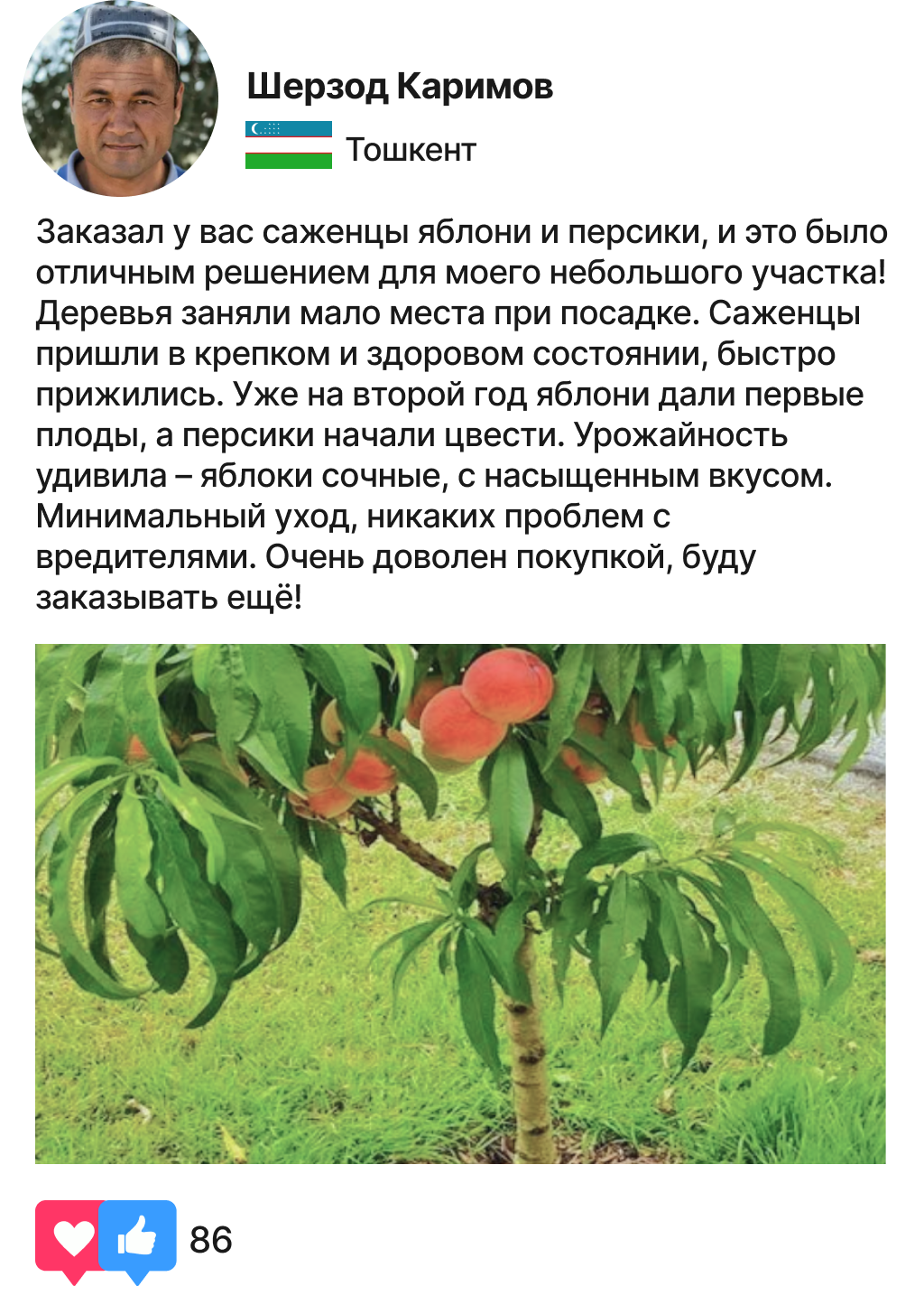 Заголовок