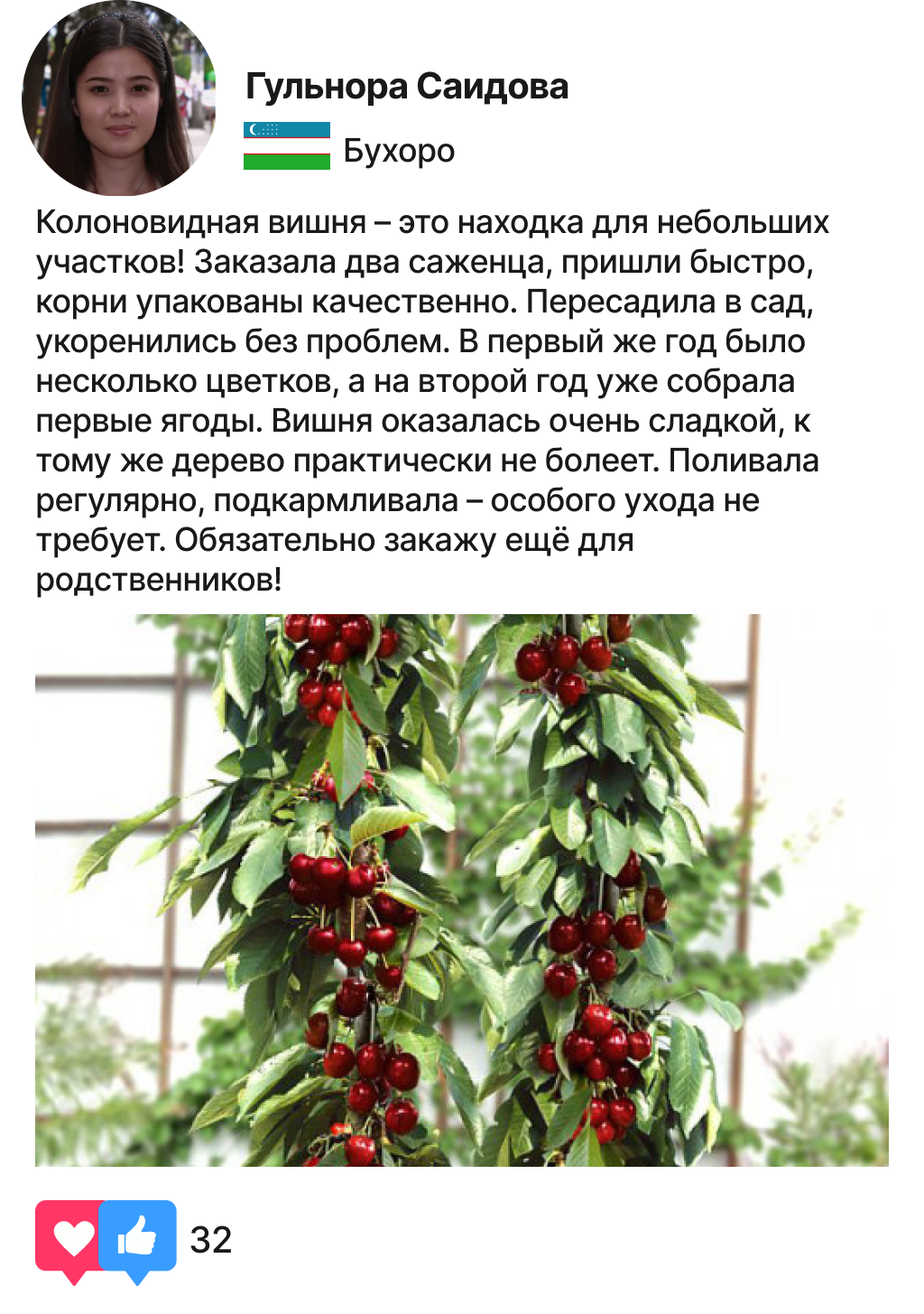Заголовок